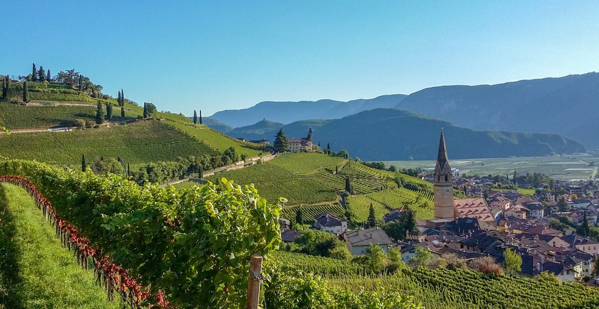 Tramin an der Weinstraße