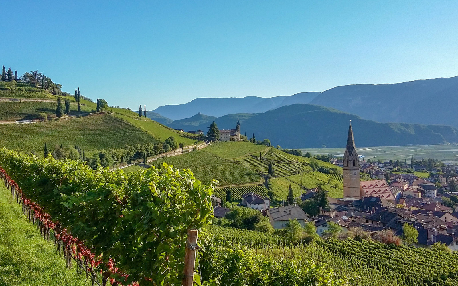 Tramin an der Weinstraße