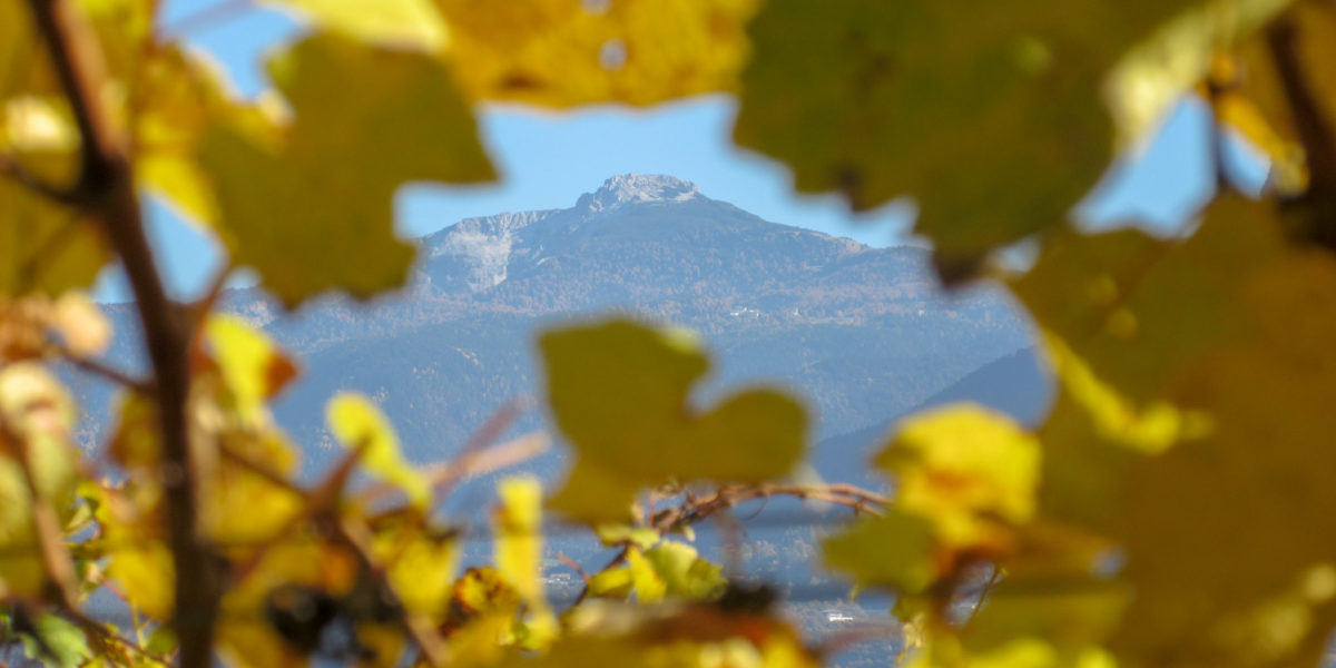Weisshorn im Herbst Weisshorn im Herbst